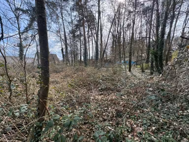Baugrundstück 1