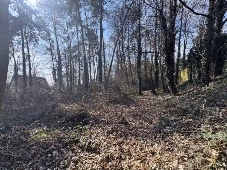 Baugrundstück 2